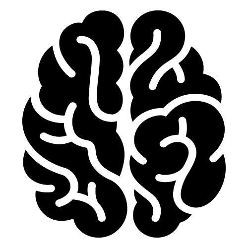 notre cerveau