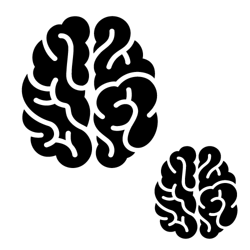 Second cerveau